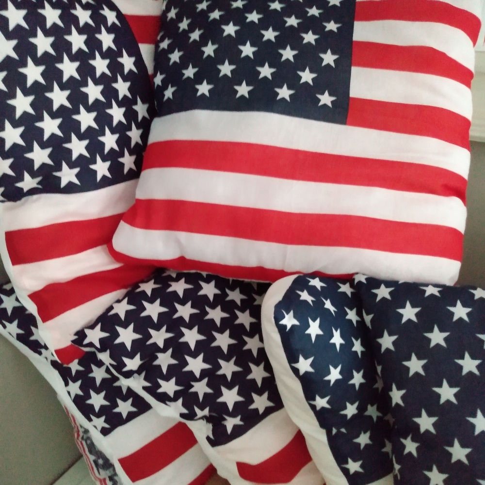 Pillows 4 pillow lot for$30